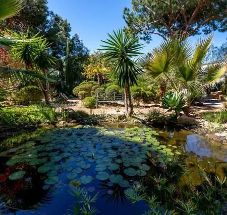 Villa In Vale Do Garrao Sleeps 7 With Pool Air Con And Wifi Villa *